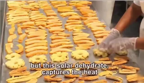  중국산.  고효율 저장 과일 야채 태양열 건조기 기계 온실